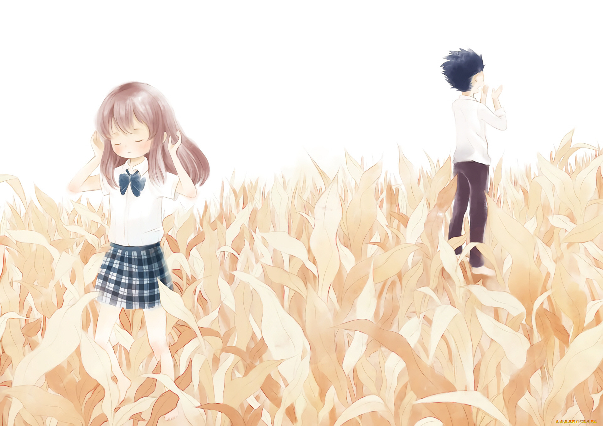 , koe no katachi, , 